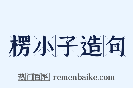 楞小子造句是什么意思的图片